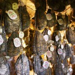 Culatello di Zibello - La stagionatura in grotta