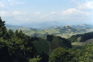 Colline